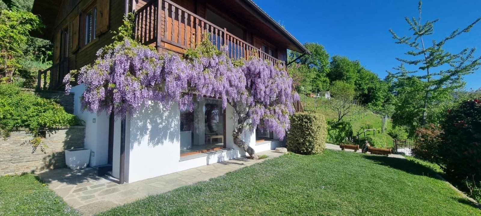 Chalet Sophie - Luxury Chalet Roletto ภายนอก รูปภาพ